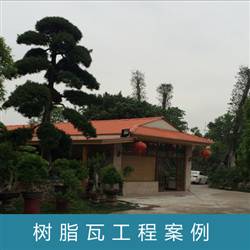 别墅、自建房屋面改造